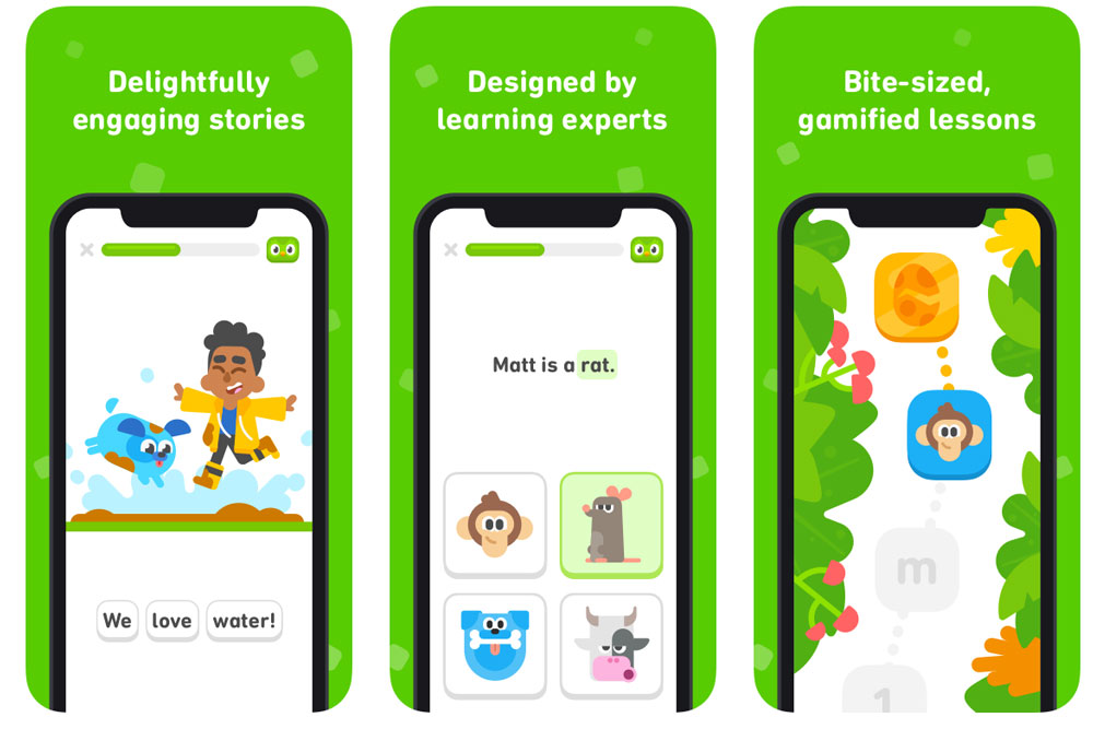 Gamifying Language Learning: The Engaging Experience of Duolingo